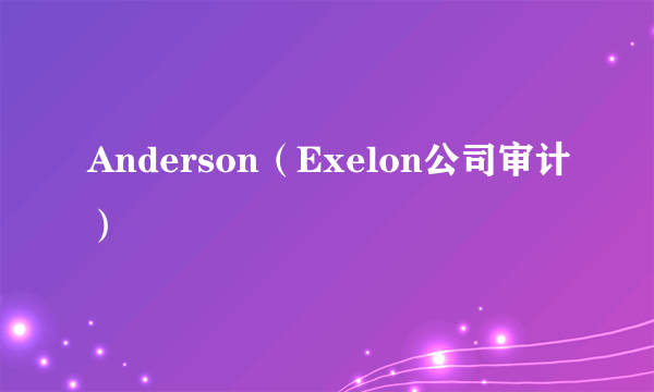 Anderson（Exelon公司审计）
