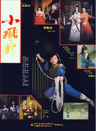 小飞龙（1982年余汉祥执导的台湾电影）