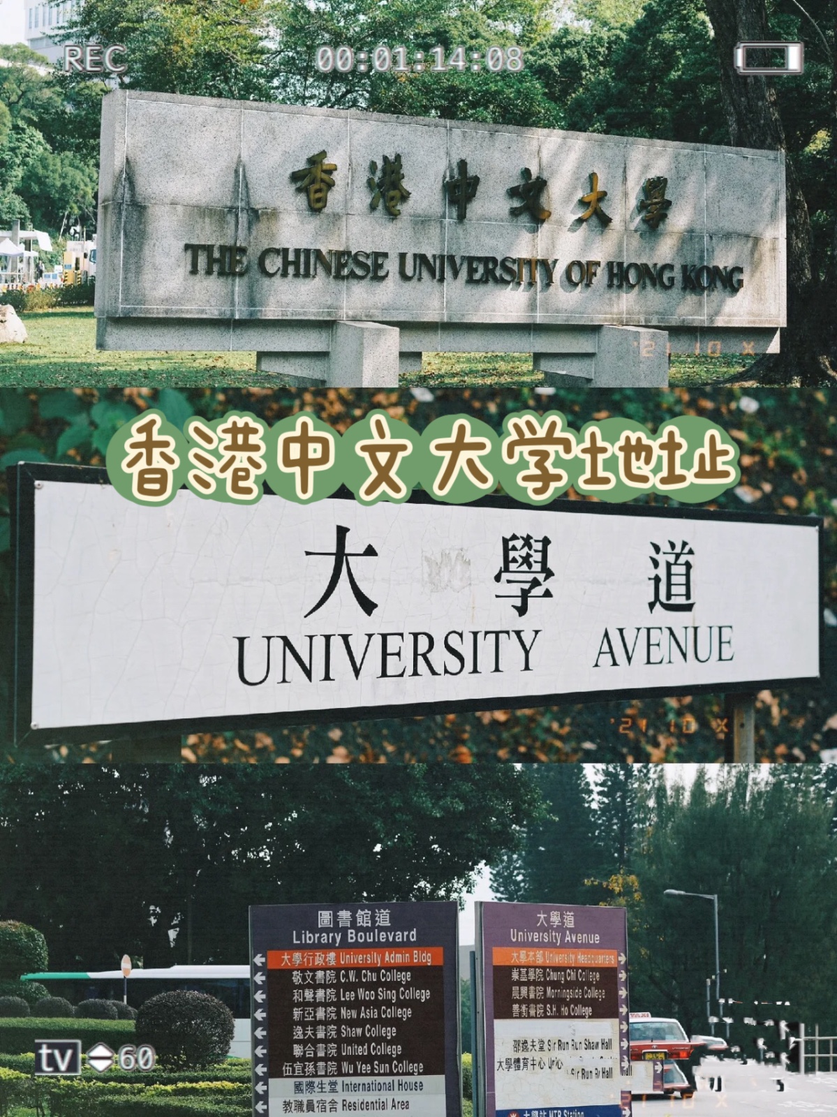 香港中文大学地址