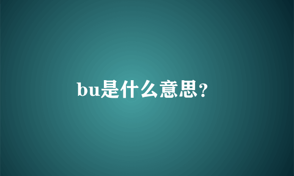 bu是什么意思？